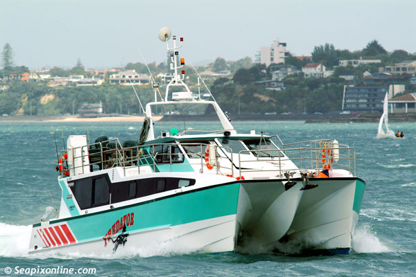 Predator ID 331